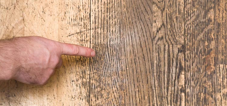 Wood Door Scratch Repair in Vero Beach